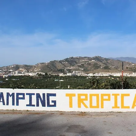 Tropical Campsite