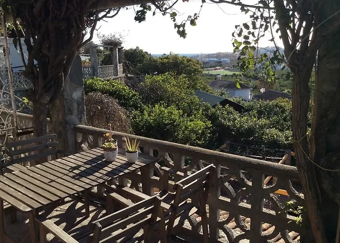 热带阿尔姆尼卡露营地 营地